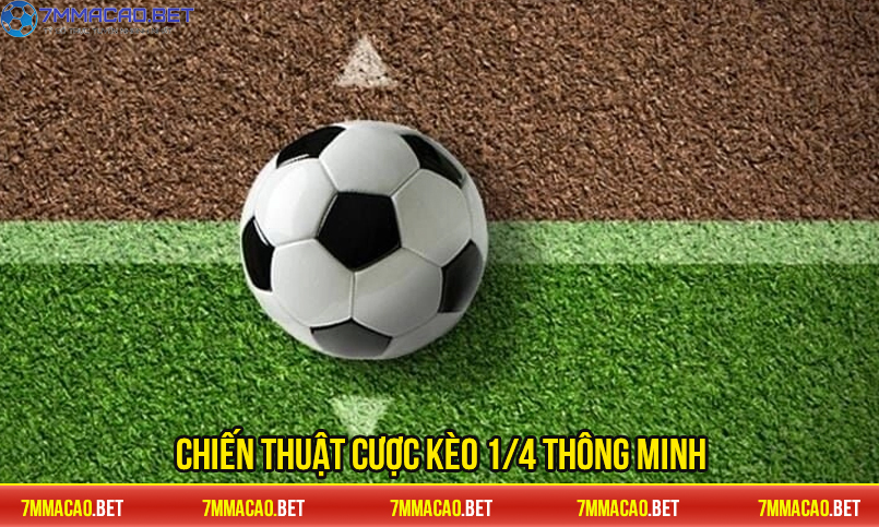 Chiến thuật cược kèo 1/4 thông minh