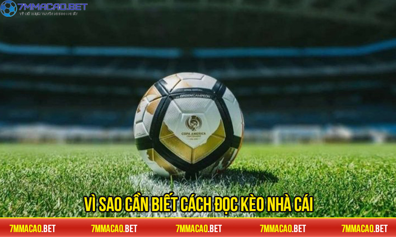 Vì sao cần biết cách đọc kèo nhà cái?